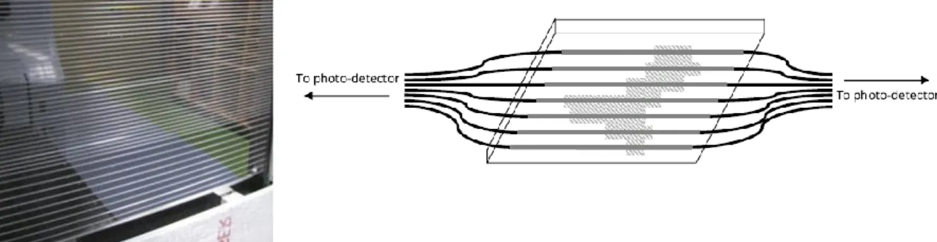 Figure 2-9 : Photo et schéma du détecteur à fibres scintillantes, extraits de ( 147 )