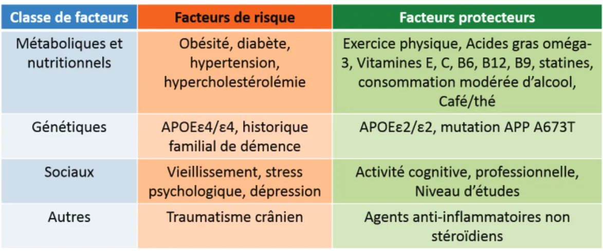 Tableau 1: Facteurs de risques et facteurs protecteurs de la maladie d’Alzheimer  
