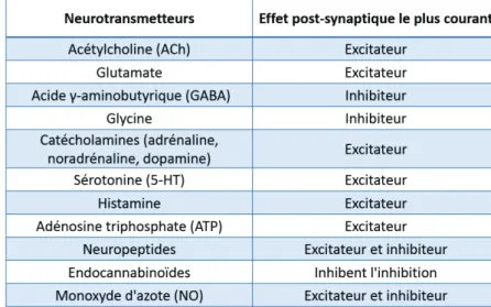 Tableau 3 : Les différents types de neurotransmetteurs et leur effet post-synaptique le plus  commun