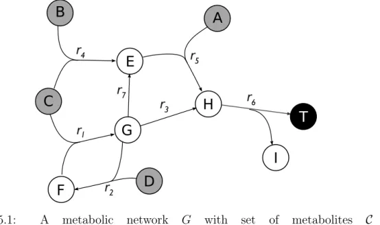 Figure 5.1: A metabolic network G with set of metabolites C = { A , B , C , D , E , F , G , H , I , T } and set of reactions R = {r 1 , r 2 , r 3 , r 4 , r 5 , r 6 , r 7 }