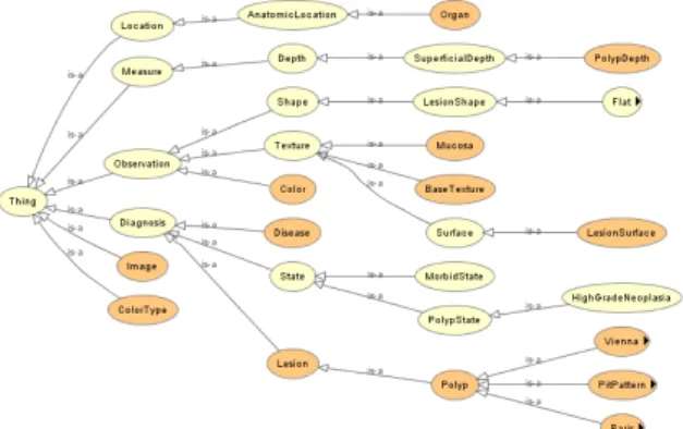 Figure 1: Core hierarchy of the polyp ontology. Snapshot taken in Prot´eg´e 4.2 (Prot´eg´e, 2013) with the OWL viz  plug-in.