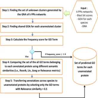 Figure 1: The different steps of TANA for scoring the prediction of GO Terms for each unannotated protein.