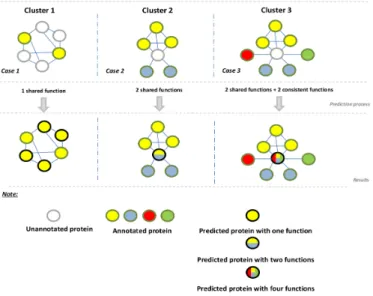 Figure 2: Functional annotation yield by TANA. This shows clusters of proteins composed from unanno- unanno-tated proteins as well as announanno-tated ones