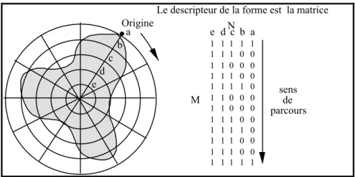 Figure   2.7 : Construction du descripteur circulaire de la forme  selon Taza [Taza 1989] 
