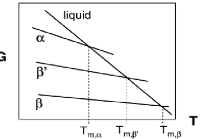Figure 3. Relation entre l’énergie libre et la température pour les trois principales formes  polymorphiques des triacylglycérols (Himawan et al., 2006)