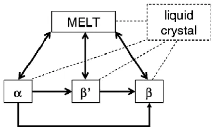 Figure 4. Transformations polymorphiques possibles pour les triacylglycérols en prenant en  compte l’état cristal liquide