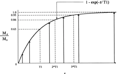 Figure 18.  Evolution de Mz après une impulsion à 90°. Le système est considéré comme  complètement à l’équilibre après 5 T 1 