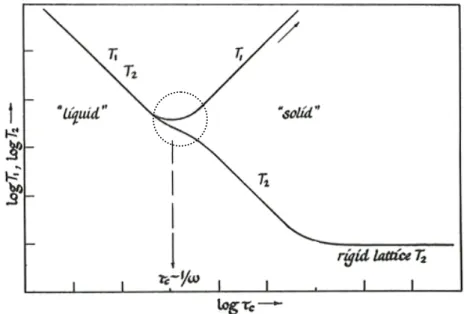 Figure 20.  Evolution des temps de relaxation T 1  et T 2  en fonction de log  τ c  (et donc en  fonction de l’inverse de la température) (Stejskal &amp; Memory, 1994)