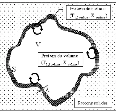 Figure 22.  Schéma d’un pore dans lequel coexistent une phase de surface et une phase de  volume (Jaffel, 2006)