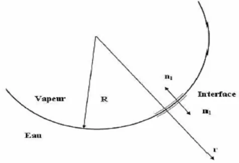 Fig. 2.3 – Interface liquide-vapeur.