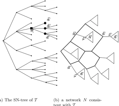 Figure 3. The SN-set A is splitted in N . Each leaf set a i , child of A, is hung below a highest cut-arc (u i , v i ) of N .