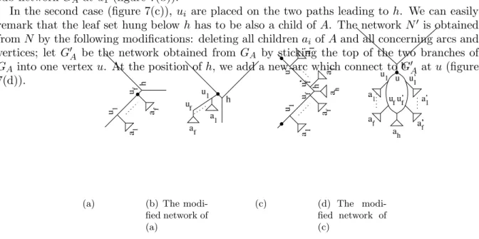 Figure 7. The modified networks are level-k, still consistent with T , and have all sons of A hung below a highest cut-arc.