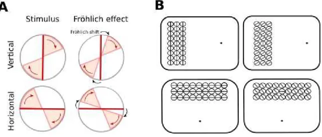 Figure 2.1.6. Panel A. A schematic showing the orientations covered by a single  rotating line starting at vertical (top left, 0° onset trial) or horizontal (bottom  left)