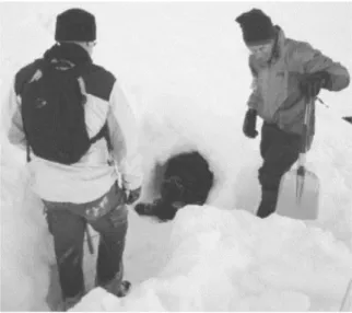 Figure 2.4 – Un volontaire venant d’être secouru sous la neige [Cor+10].