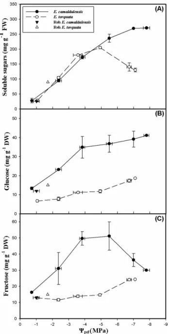Fig. 8    Variation of contents of three cyclitols: a pinitol,  b myo-ino- b myo-ino-sitol and c  quercitol as a function of predawn leaf water potential  (Ψ pd ) in leaves of two Eucalyptus species (E