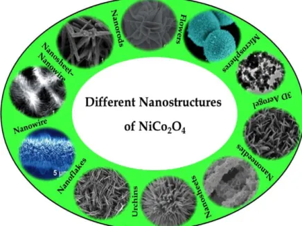 Fig. 1.18. Illustration of the different morphologies that have been reported for nickel  cobaltite