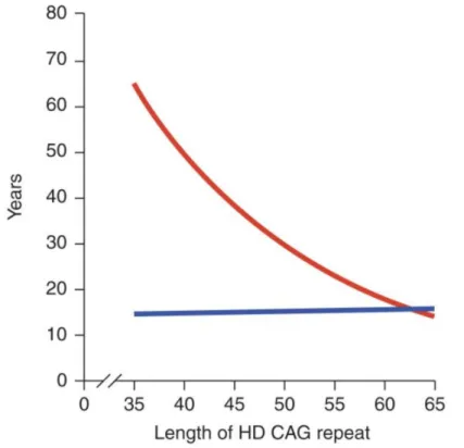 Figure 2: CAG-repeat length correlates with the age of symptoms onset in HD. The lines  represent  age  at  neurological  onset  (red)  and  duration  of  disease  from  onset  to  death  (blue)