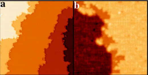 Figure 1.10: (a) Image STM (250 × 250 nm 2 ) montrant la morphologie de la surface (010) du cristal T-Al 3 (Mn, Pd)