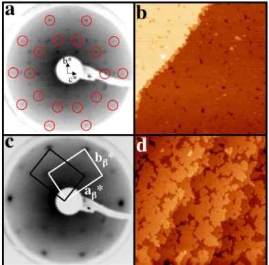 Figure 1.22: 1 ML de Cu déposée à 300 K sur le substrat d’Al 13 Co 4 : (a) Cliché de LEED enregistré à 60 eV et (b) Image STM de 100 × 100 nm 2 