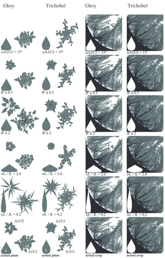 Figure 1. Examples of visual comparisons between computer-generated branched shoot (A1U1), shoot leader (A1U2), leaf blade (L) (left) and hemispherical images (right) before (actual plant) and after numerically changing botanical parameters for poplar clon