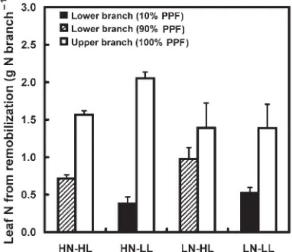 Figure 4. Amount of leaf nitrogen (N) derived from remobilization measured on lower and upper branches of walnut trees during the third year of growth