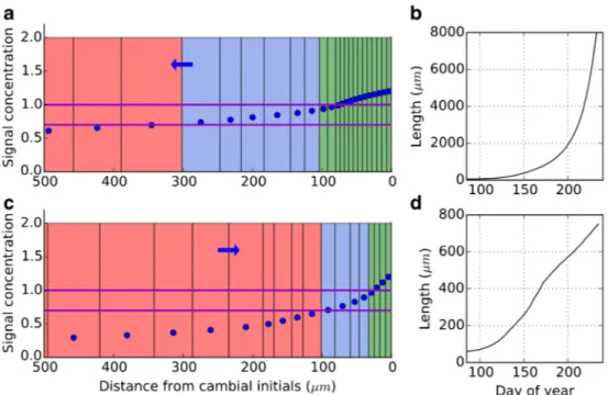 Fig. 7 Two possible concentration profiles using XyDyS-PAT with fixed boundary conditions and parameters