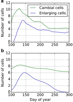 Figure 10 shows the final cell diameters obtained from the same simulation run as in Fig