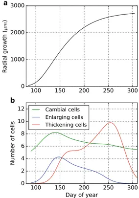 Fig. 2 Cumulative radial growth and cell numbers of Scots pine (Pinus sylvestris) through a growing season