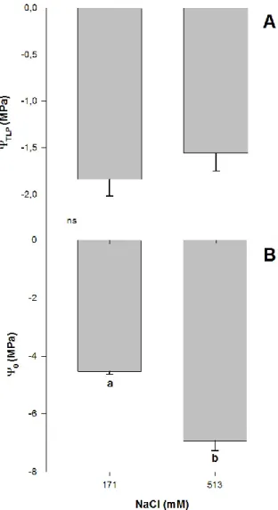 Figure 3.  Water potential for turgor loss point, Ψ TLP  (A) and osmotic potential, Ψ 0  (B) in randomly  selected primary leaves of Atriplex halimus L