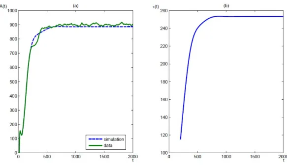 Figure 2.6: In this figure we show the comparison between SORTIE data and numerical simulation for American beech