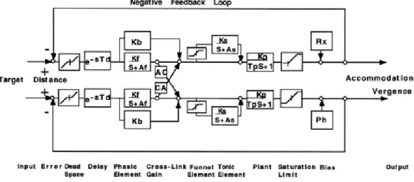 Figure 1.12 Block diagram of the phasic-tone control and interaction between A and V. 