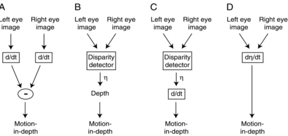 Figure 1.20. Motion cue stimulus conditions (Czuba et.al, 2010). 