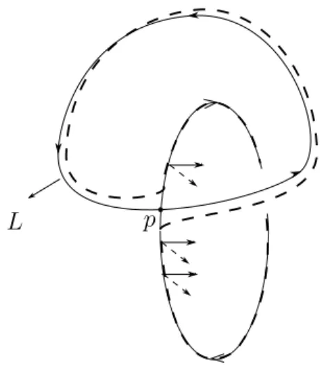 Figure 5.2 – The dash line is the transversal γ. The dash and real arrows on the circle pointing outside give the orientations of G and F respectively.