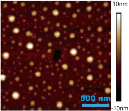 Figure 1.4: An AFM image of nanobubbles on polystyrene surface measured in AM-AFM mode.