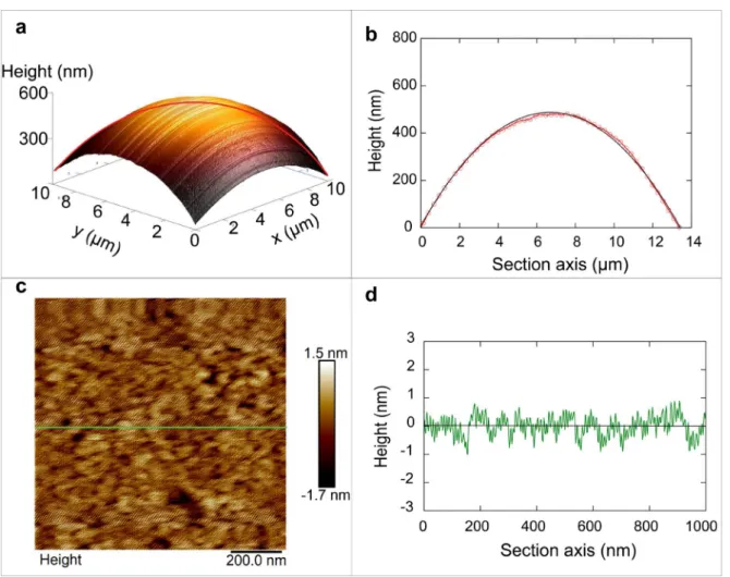 Figure 1.9: a) The 3D AFM height image for a spherical colloidal particle with a size of 10 µm × 10 µm