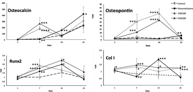 Fig. 8. Gene expression levels of bone and matrix markers after cell treatments. MC3T3-E1 were treated for 1, 7, 14 and 21 days with ESM (100 l g/ml, or 200 l g/ml) or dexamethasone (positive control) to induce mineralization or not treated (control)