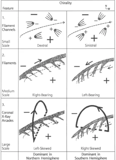 Figure 1.5 The diagram shows schematic representations of the general chirality relations (Martin, 1998).
