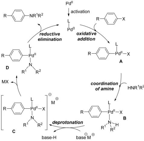 Figure 1.4.1: Catalytic cycle of the palladium catalysed aryl amination. 