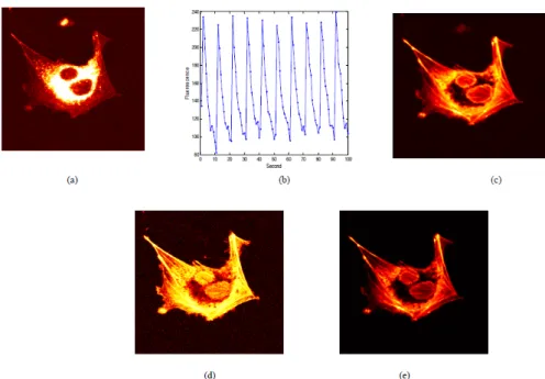 Figure 1.8 – (a) A single image frame of the living cell (labeled with a non-photoswitchable probe Rhodamine 123 and a photoswitchable protein rs-mcherry-rev) representing peak response to switching;