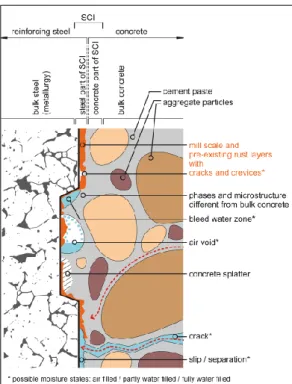 Figure II-10 Schematic illustration of selected characteristics at the steel-concrete interface[69] 