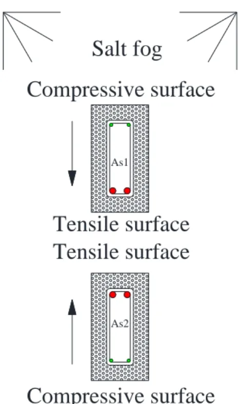 Figure 6 section transversale des poutres As et direction de coulage 