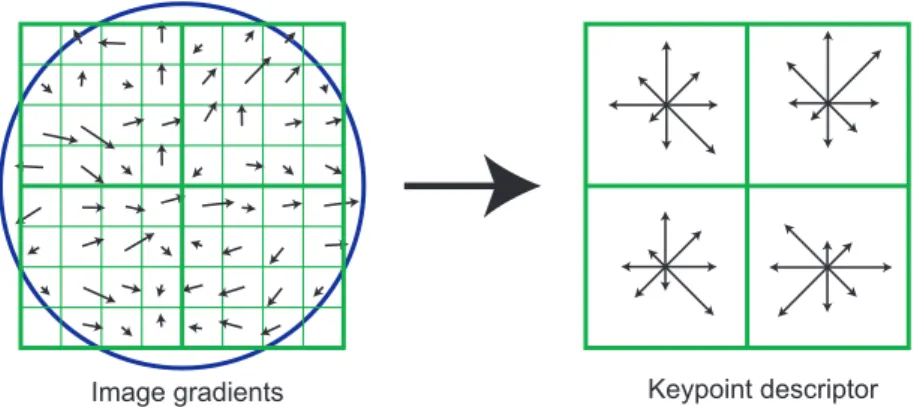 Figure 7: A keypoint descriptor is created by first computing the gradient magnitude and orientation at each image sample point in a region around the keypoint location, as shown on the left