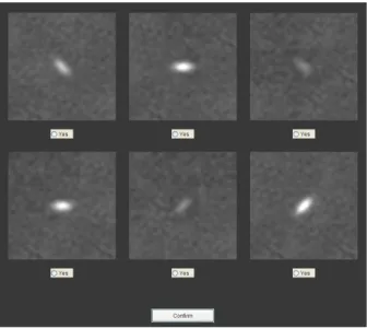 Figure 5.1: An example of one trial of experiment one (Exp 1) with six synthetic lesions.