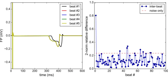 Figure 4: Steady-state analysis: the Bidomain equations are solved for 100 consecutive beats