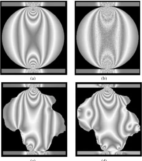 Fig I-4 The fringe contours of samples of different condition under diametral loading of Tang’s work :  (a) homogeneous disk, (b) heterogeneous disc, (c) irregular shape particle without confinement, (d) 