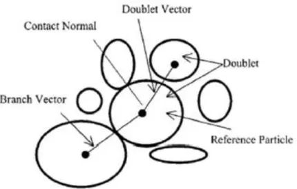 Fig I-16 Illustration of contact normal, branch vectors and doublet vectors from Wang’s work [64] 