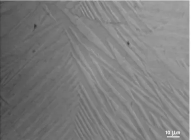 Fig. 1.2 Backscattered electron (BSE) micrograph of Ni 50 Mn 38 Sb 12  martensite [73]