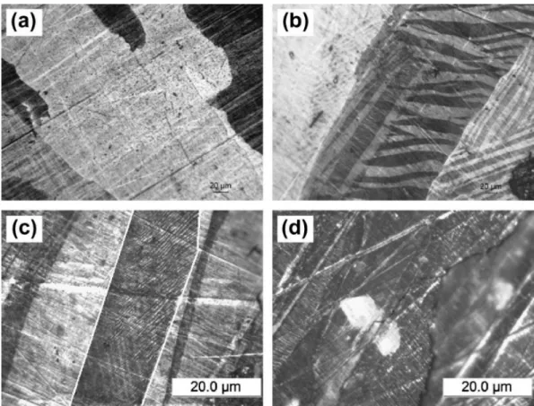 Fig. 1.3 Optical microscope images taken at room temperature for: (a) Ni 45 Co 5 Mn 38 Sb 12  taken  before temperature cycling, (b) Ni 48 Co 2 Mn 38 Sb 12  taken before temperature cycling, (c)  Ni 48 Co 2 Mn 38 Sb 12  taken with higher magnification and 