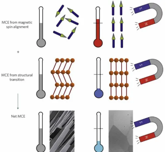 Fig. 1.6 Contributions from the magnetic and structural part for a first-order magnetic transition  to the magnetocaloric effect (MCE) [45]