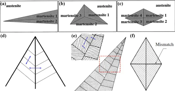 Fig. 1.13 Illustrations of different shaped martensite that forms at the beginning stage of the  martensitic transformation: (a) wedge-shaped, (b) triangle-shaped, (c) diamond-shaped, (d) and  (e) wedge-shaped with fine lamellae twins and (f) diamond-shape